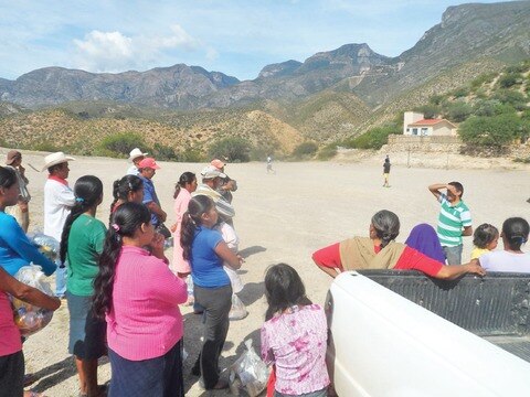 Proyectan cabina de forraje en Pinal