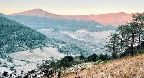 Ante el frío, las clases virtuales podrían seguir