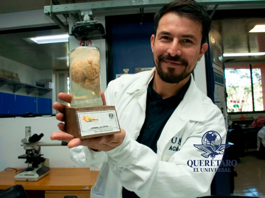 Investigador de la UNAM Juriquilla propone una nueva estrategia frente al Alzheimer