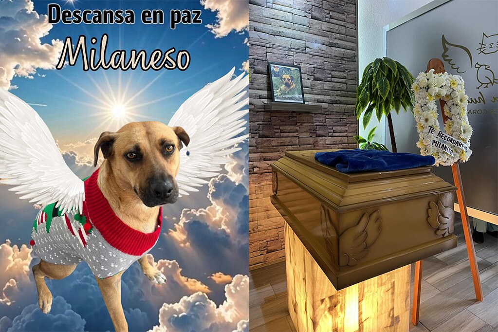 Buscan recolectar llaves para colocar una estatua del can en el municipio. Foto: Facebook Escuadrón Mascotas SJR A.C.