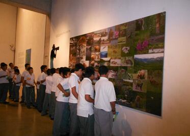 Visitan alumnos la exposición Katmai y Denali