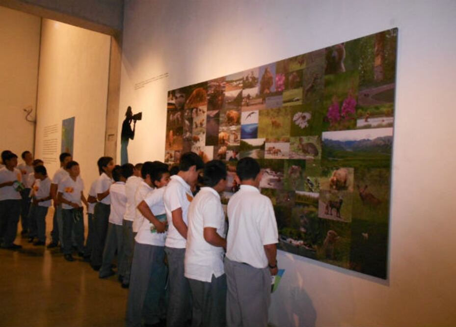 Visitan alumnos la exposición Katmai y Denali