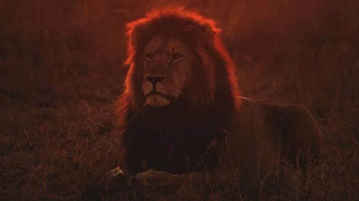 Foto: Archivo. El Universal