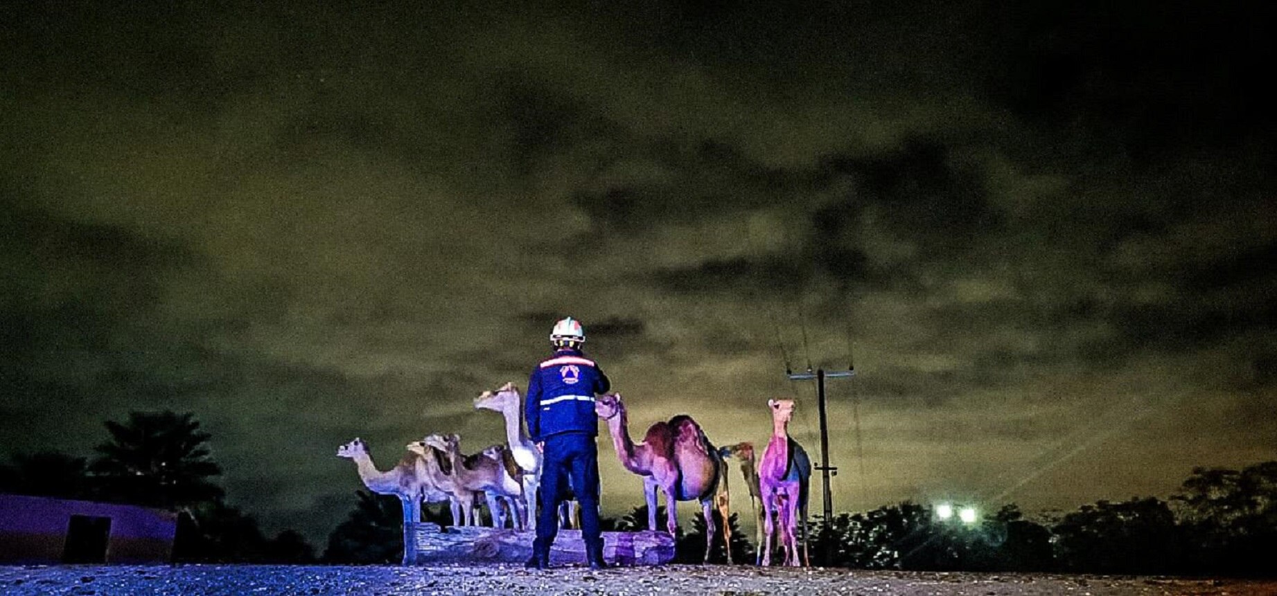 Un tráiler choca y derriba la barda del zoológico Wameru, en Querétaro