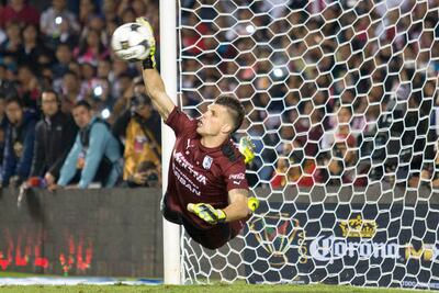 Tiago Volpi, el gallo más valioso