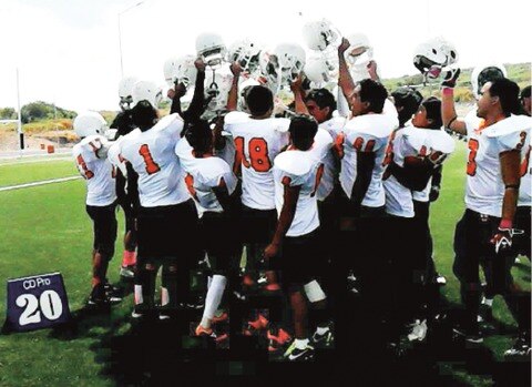 Regresan a la ONEFA los Zorros del ITQ