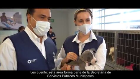 Denunciará PRI a Luis Nava por anuncios 