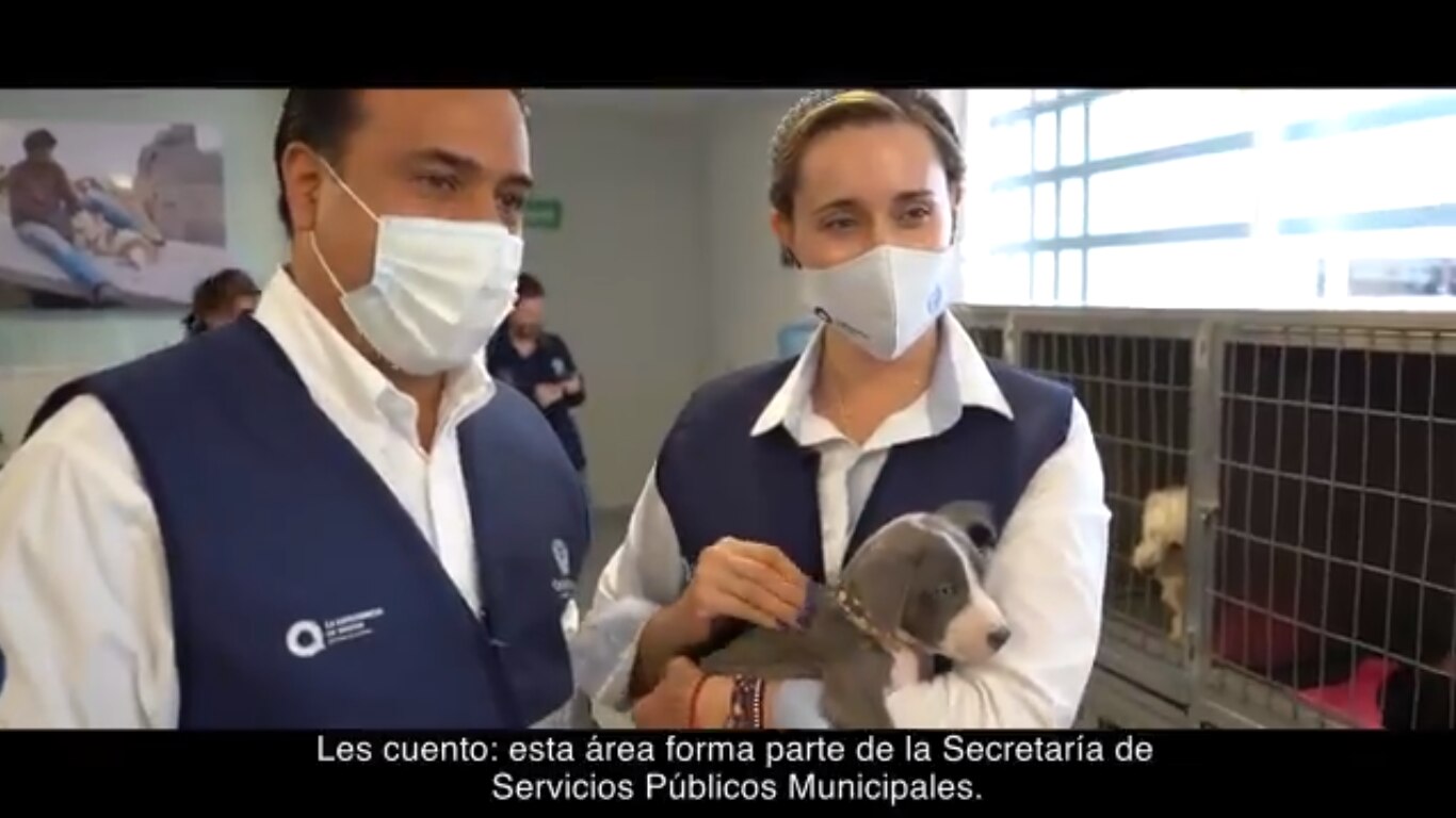 Denunciará PRI a Luis Nava por anuncios