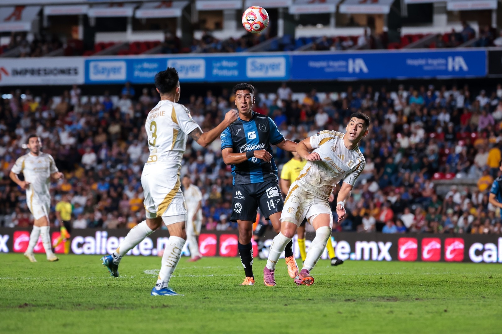 Foto: Cortesía Club Querétaro