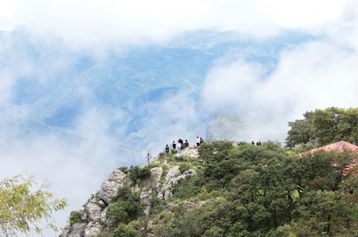 Experta avala planes “verdes” en el Congreso