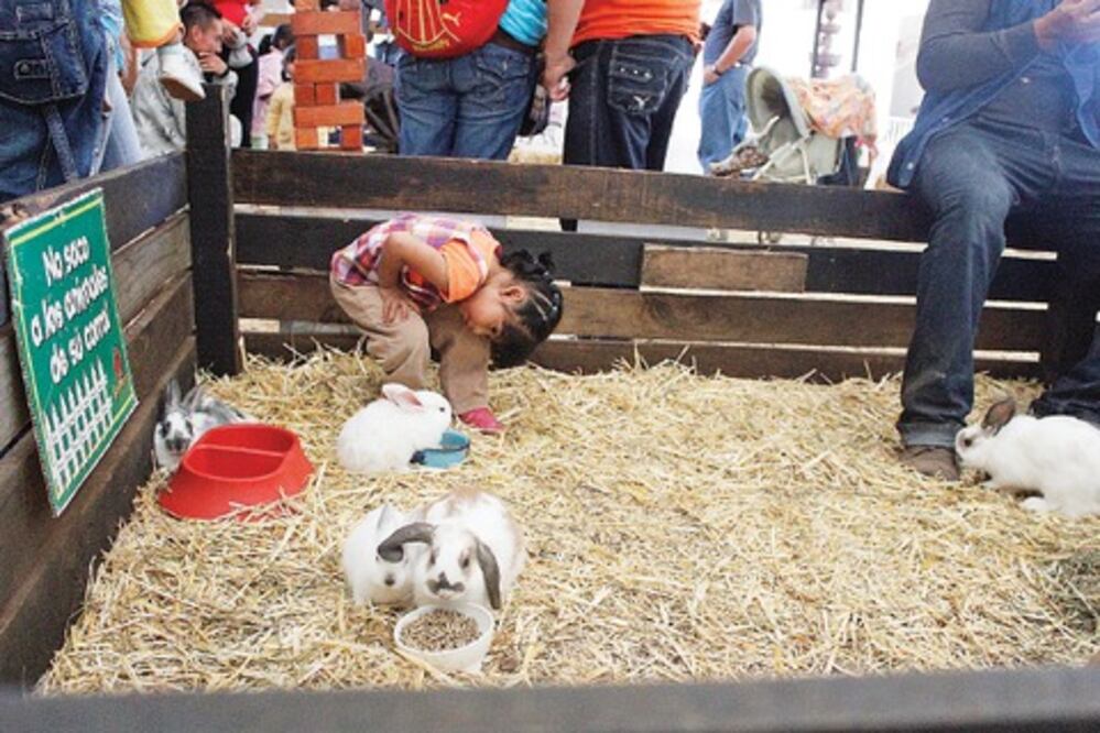 Niños y adultos se divierten en feria