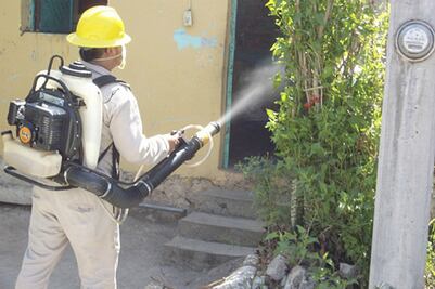 Previene Salud virus Chikungunya