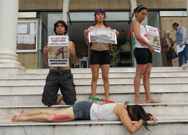 Anti taurinos acuden a primer audiencia 