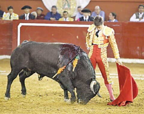 Homenaje a San Román