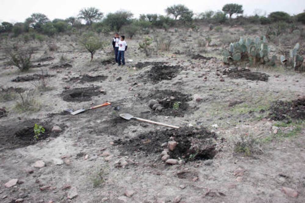 SJR: pese a demandas, prevalece tala ilegal