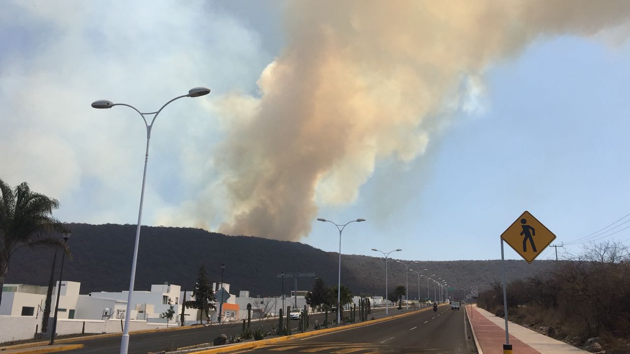 Incendio consume parcialmente cerro El Tángano