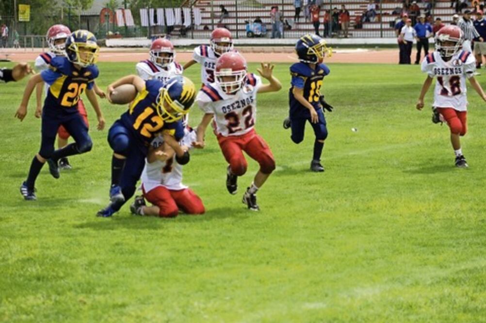 Training Camp de Gatos Salvajes