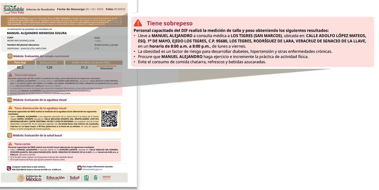 La estrategia Vive Saludable, Vive Feliz ha abarcado hasta el momento 60 mil 8 escuelas públicas en el país.
