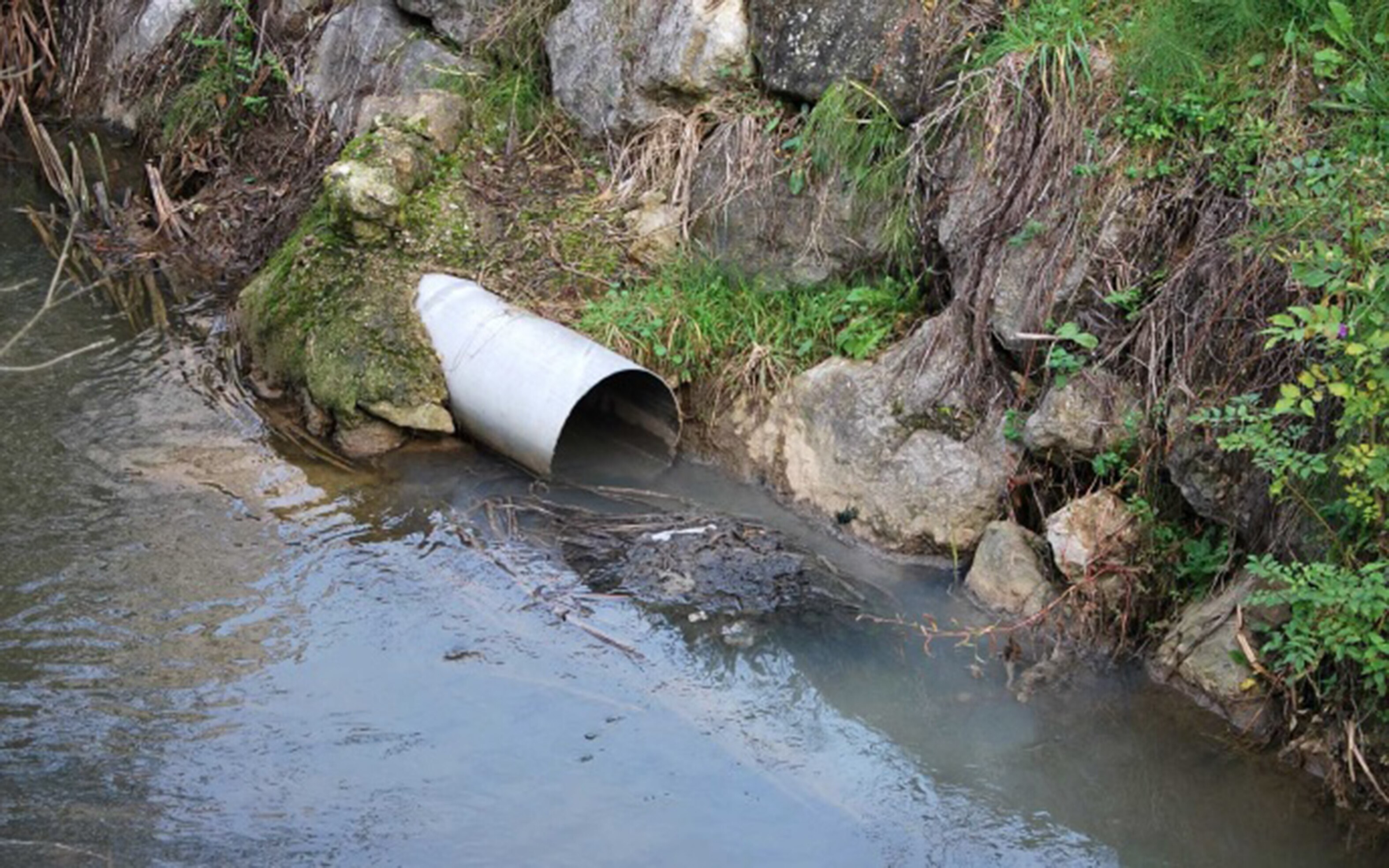 Covid-19 podría sobrevivir en las aguas residuales, alerta la UNAM