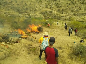 O hay mucha burocracia o escasez de recursos: Hugo Cabrera 