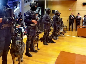 Se jubilan Páiler y Ráiden; los perritos trabajaron en la policía municipal de Querétaro
