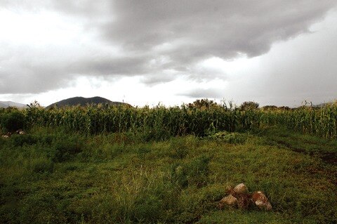 Descartan daños por aguaceros