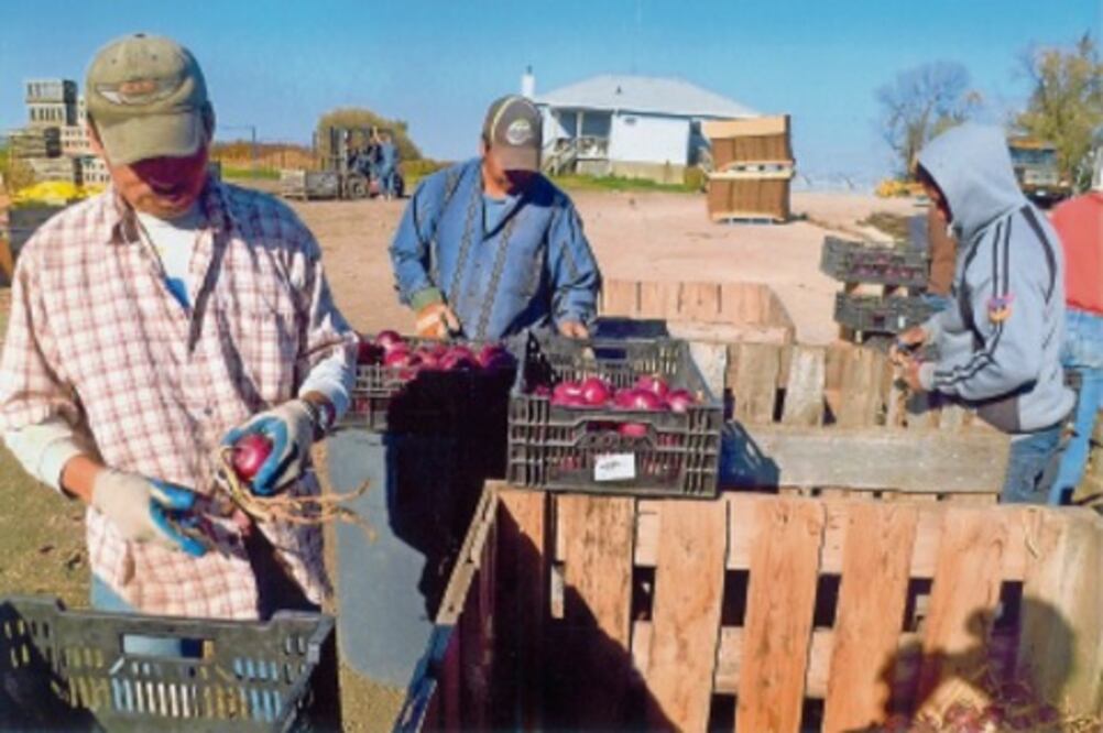 75% de queretanos en EU son ilegales, estiman