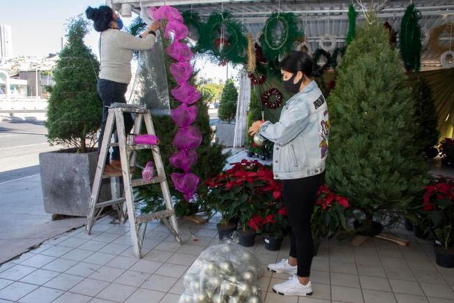 Covid golpea venta de árboles y nochebuena