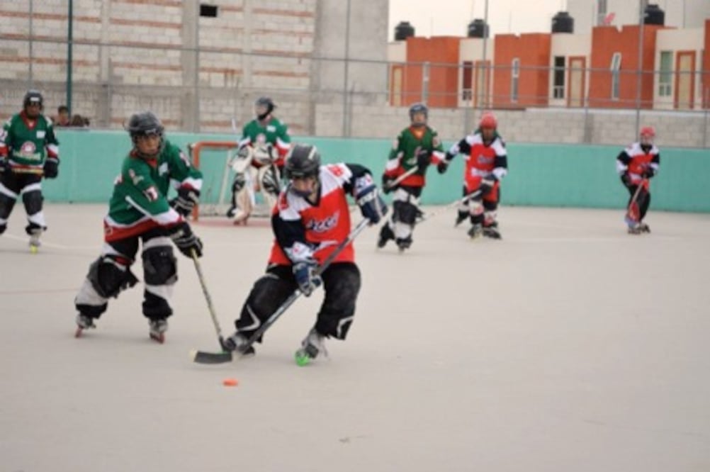  Definen a patinadores para la ON