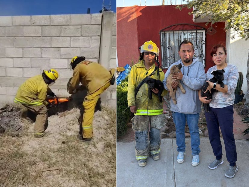 FOTO. CAPTURA DE PANTALLA