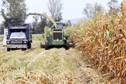Buscan impulsar consumo de productos de la entidad