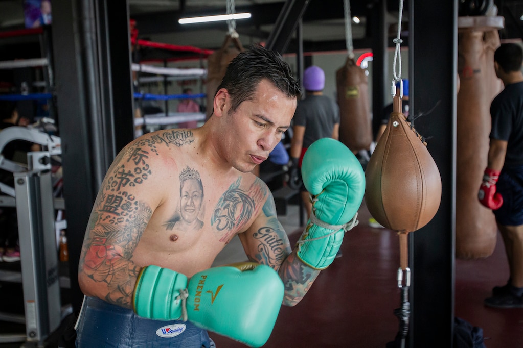 "Querétaro es la casa de Los Jaguares", afirma el boxeador Andrés "Jaguar" Gutiérrez