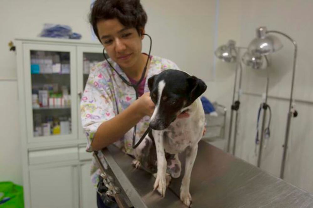 Foto: Demian Chávez