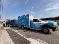 Mueren tres caballos atropellados en la carretera 57; accidente provoca tráfico en El Colorado
