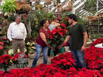 El lugar ideal para dar color y vida a la Navidad