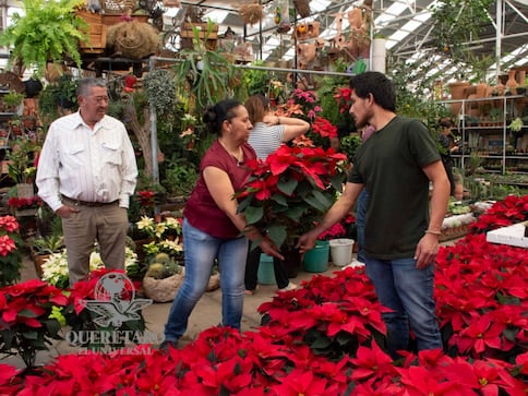 El lugar ideal para dar color y vida a la Navidad