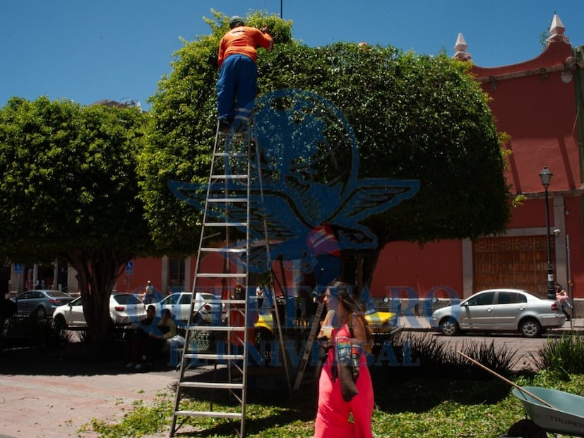 FOTO. FERNANDO CAMACHO