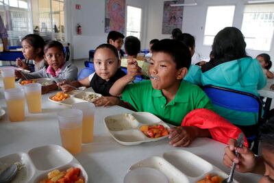 Buscan 8 mdp para albergues