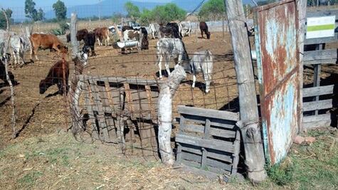 Impulsan pequeñas empresas familiares 