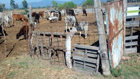 Impulsan pequeñas empresas familiares