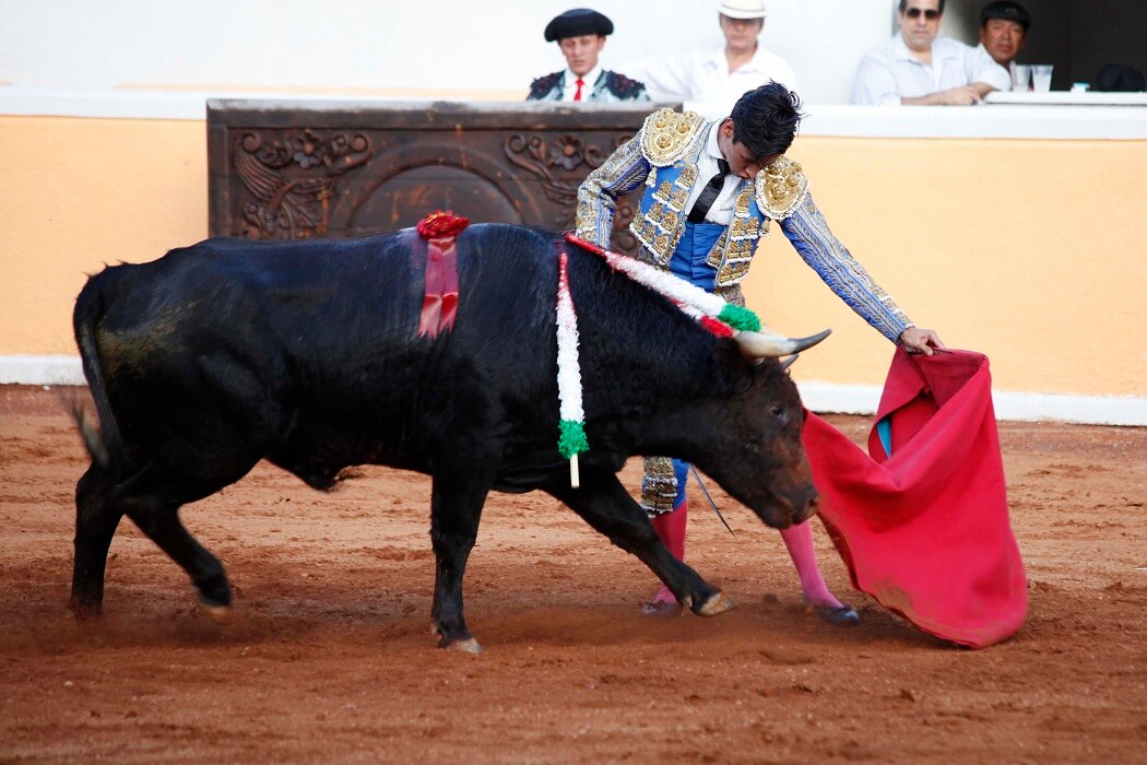 Dan el grito con Olés