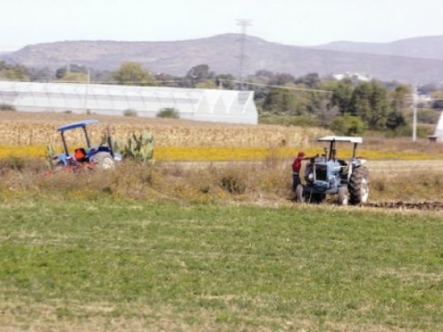 Entregan apoyos a campesinos