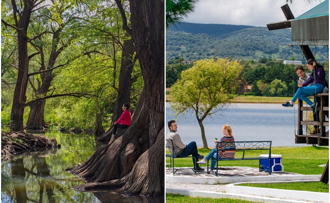 Bosque Los Sabinos en y Centro ecoturístico San Pedro. Foto: Fb@Eco Travel/ IG@asomarteqro