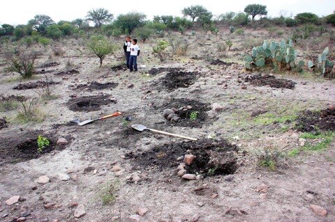 Detienen a talamontes en San Juan