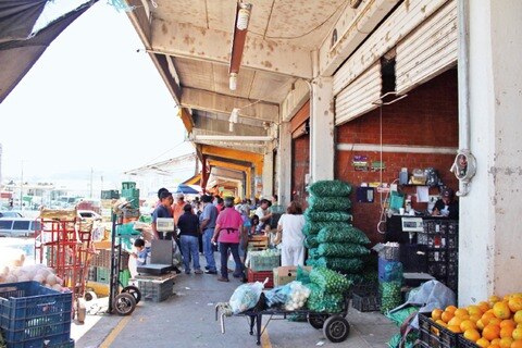 Avanzan pláticas para construir tren ligero