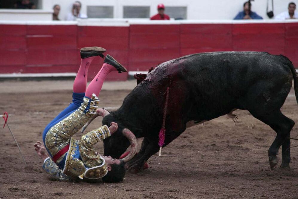 Foto: Demian Chávez