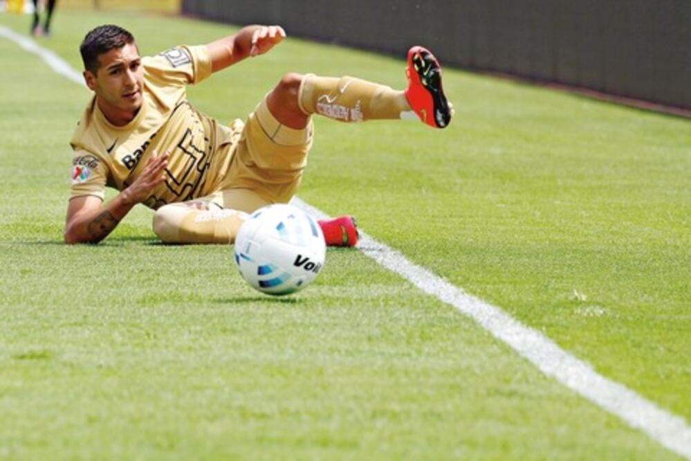 Nueva caída felina en CU