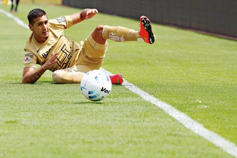 Nueva caída felina en CU