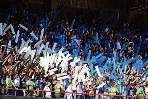 Lealtad a los Gallos, una pasión y un sentimiento