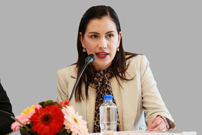 Antidemocrática, la iniciativa a favor de diversidad: Elsa Méndez